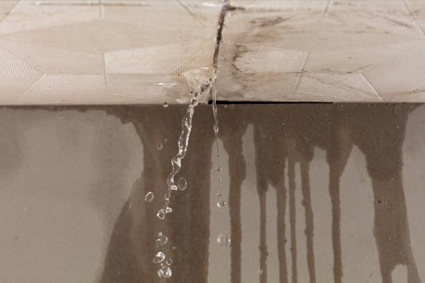 Professional Water Damage Repair technician working in Owendale, MI